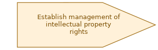 spem diagram of the activity overview: Establish management of intellectual property rights