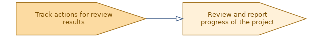 spem diagram of the activity overview: Review and report progress of the project