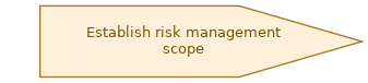spem diagram of the activity overview: Establish risk management scope