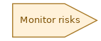 spem diagram of the activity overview: Monitor risks