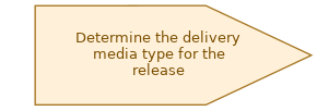 spem diagram of the activity overview: Determine the delivery media type for the release