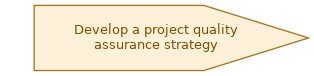 spem diagram of the activity overview: Develop a project quality assurance strategy