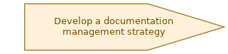 spem diagram of the activity overview: Develop a documentation management strategy